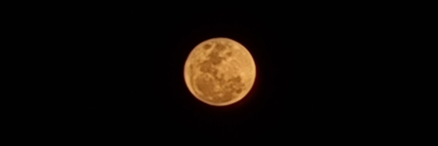 williamblettler's profile banner image