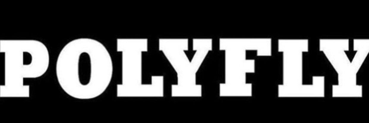 The PolyFly Experience 🖤 banner