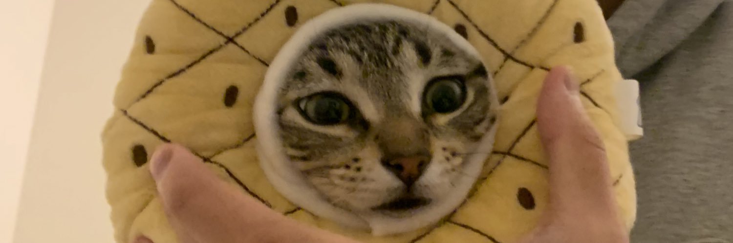 miichellleu's profile banner image