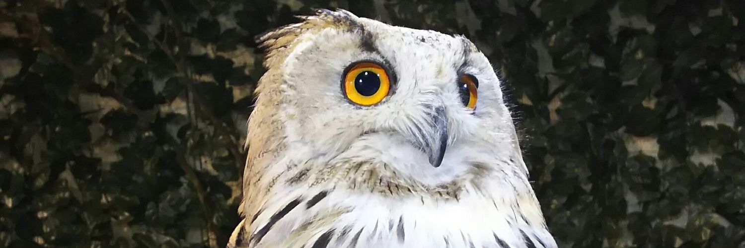 tom3221's profile banner image