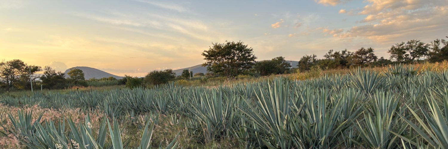 carlosggivan's profile banner image