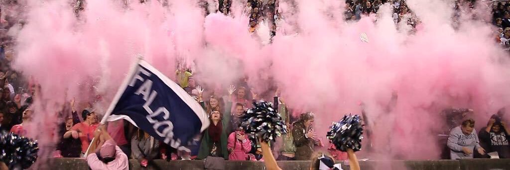 THE Falcon Frenzie banner