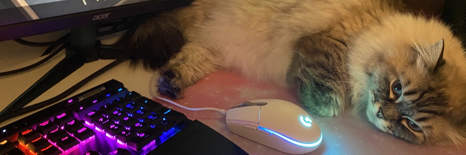 thatrenachick's profile banner image