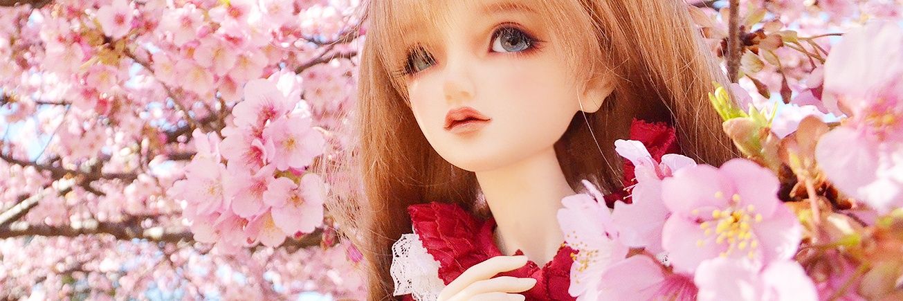 kikyou310's profile banner image