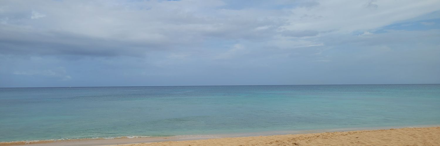 LevelUpT's profile banner image