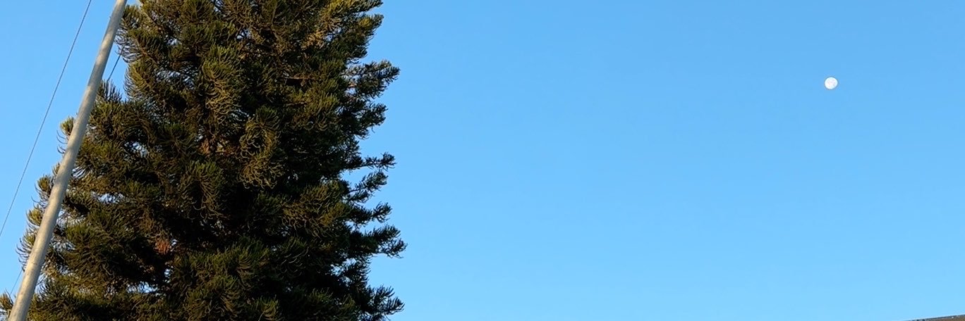 ADAMIBRAM's profile banner image