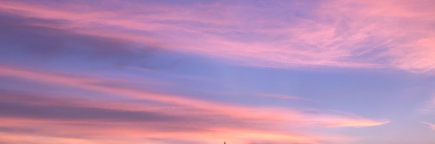 chika911sy's profile banner image