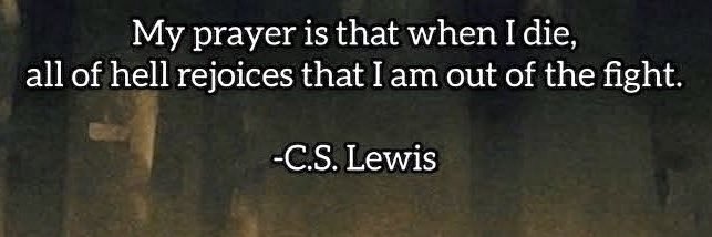 Scheemo The Fool banner