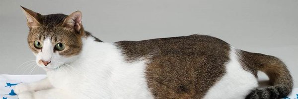 ScanNetSecurity Profile Banner