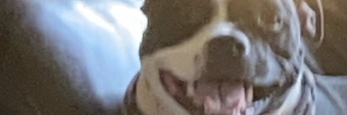 OliBshitposting's profile banner image