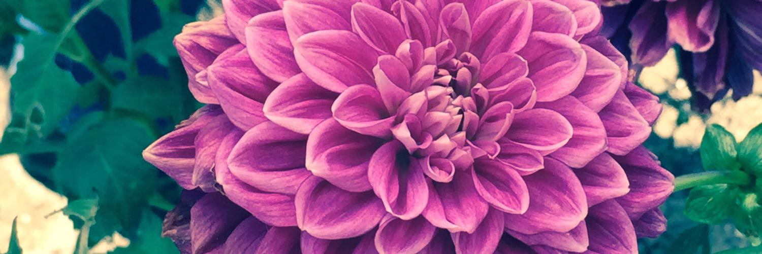 ItErinT's profile banner image