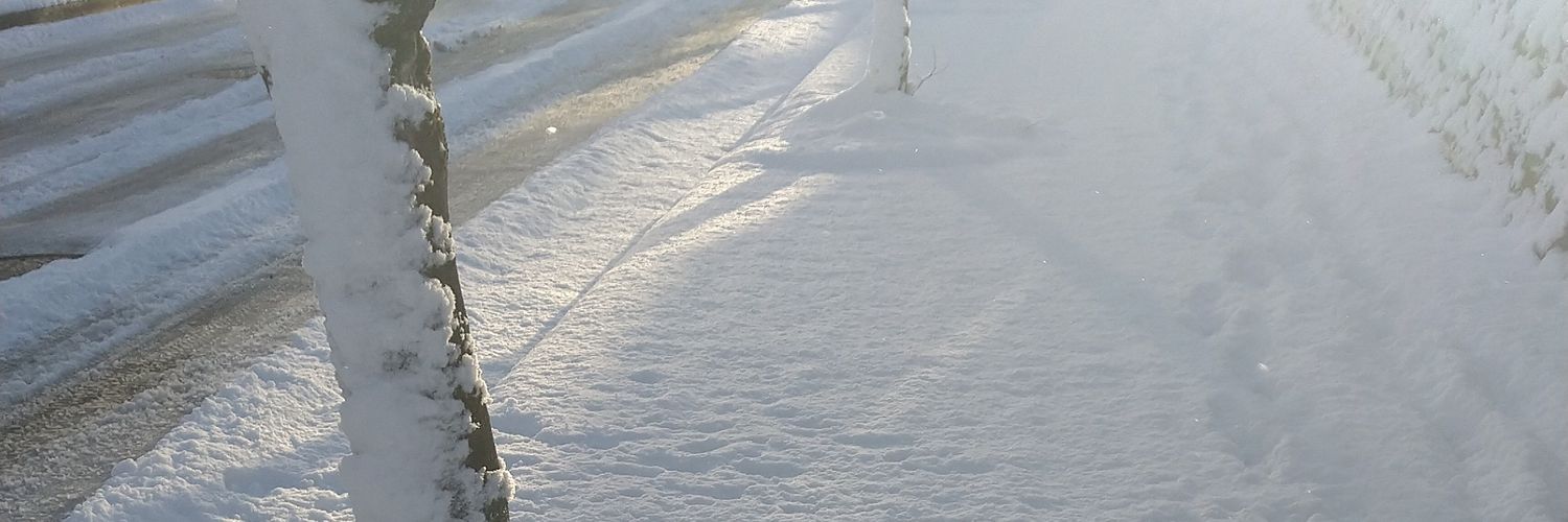 deux_pour's profile banner image