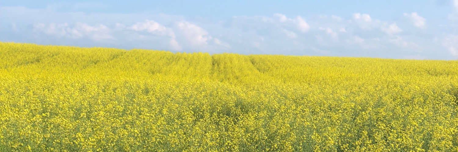 ABayfromTBay's profile banner image