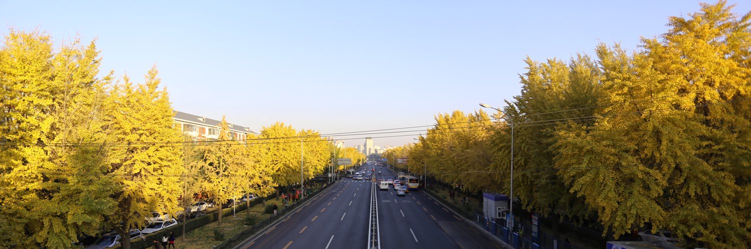 维德摄影-农牛推拿SPA banner