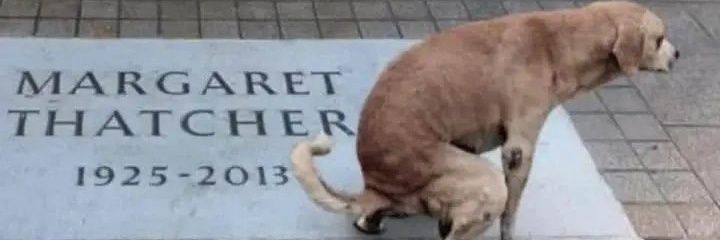 kicilof es alberto recargado banner