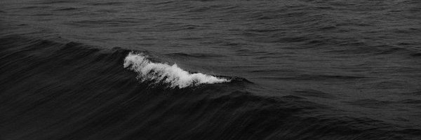 alien_qin Profile Banner