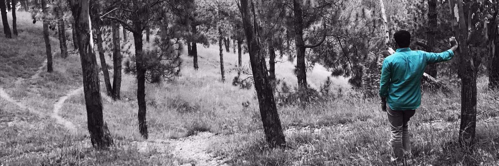 syedfhadkhalid's profile banner image