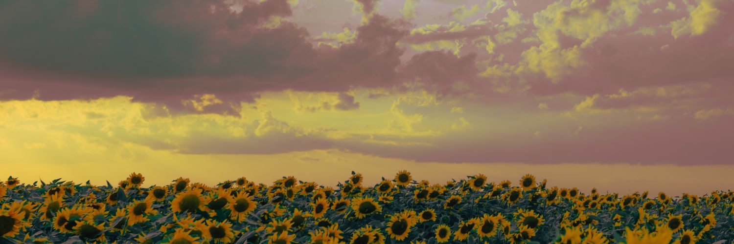 ucingbelekan's profile banner image