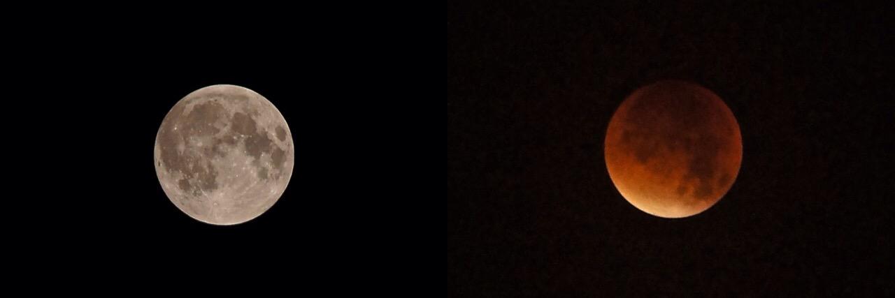 Wichtelman's profile banner image