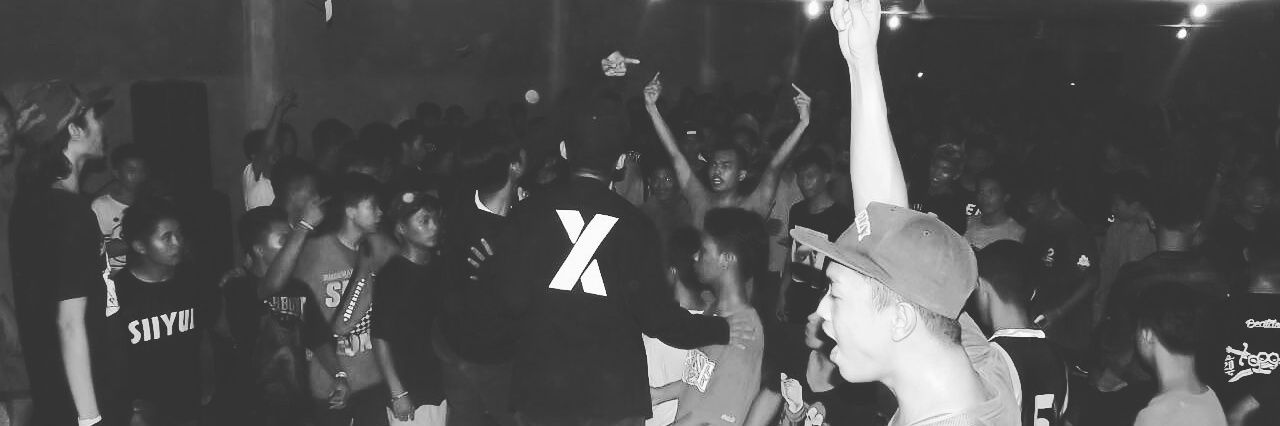 Thebulls Hardcore banner