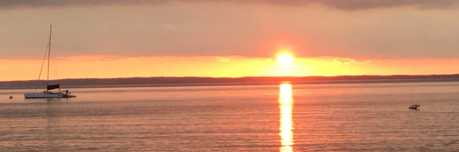 Lindsay D Steffner banner