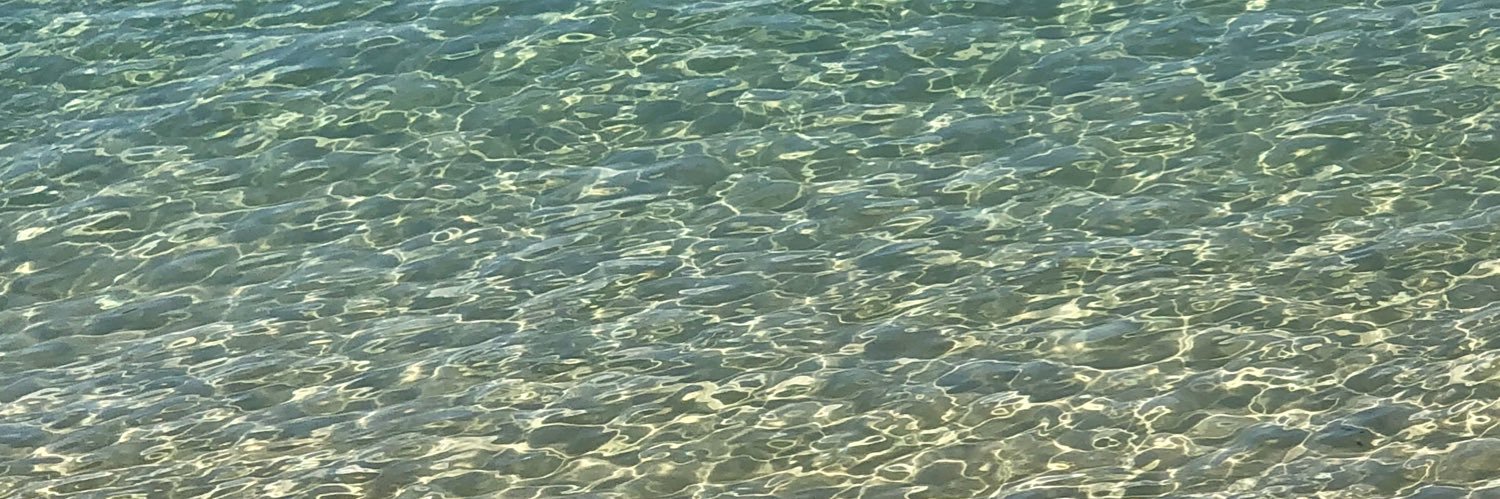 EmmaConfetti's profile banner image