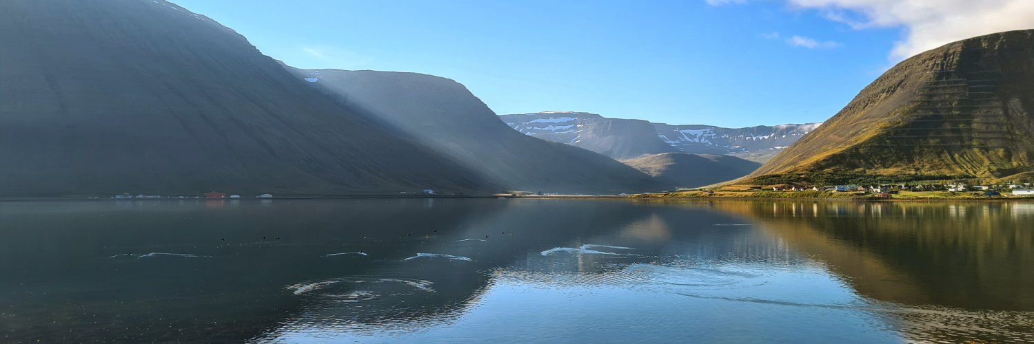 IcelandinFocus's profile banner image