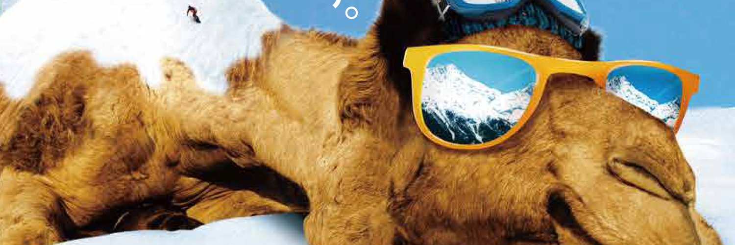 nornsnow's profile banner image