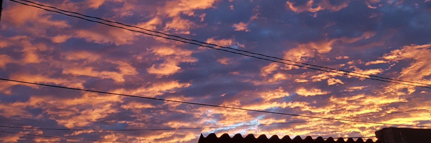 florrfrancani's profile banner image