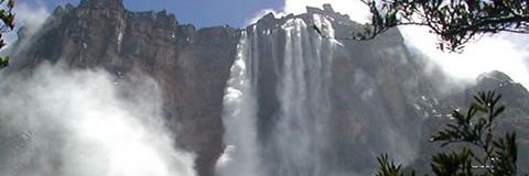 PayesWww's profile banner image