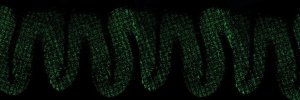 domkaul Profile Banner