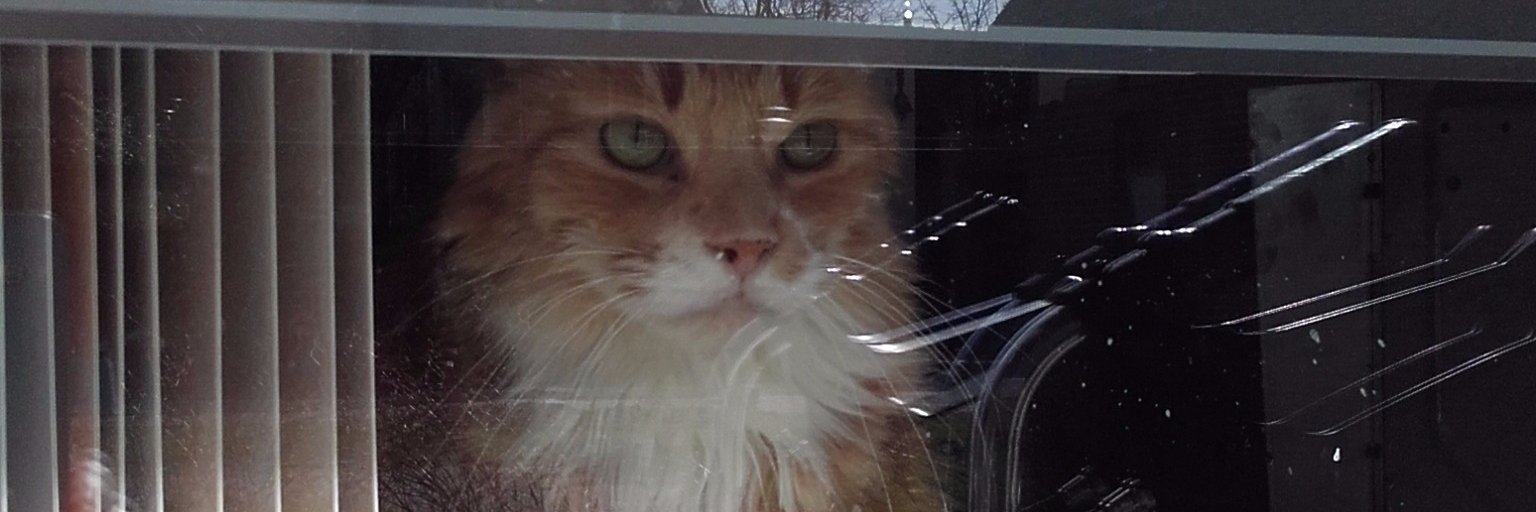 Suzanne Loman banner