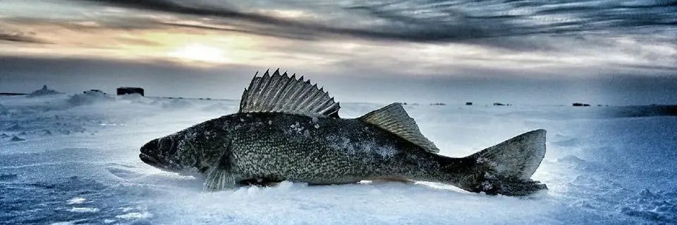 NoLuckOD's profile banner image