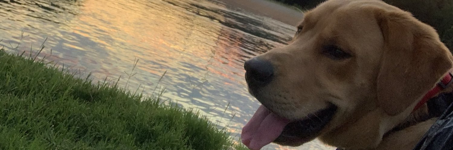 Jacob Lineberger banner