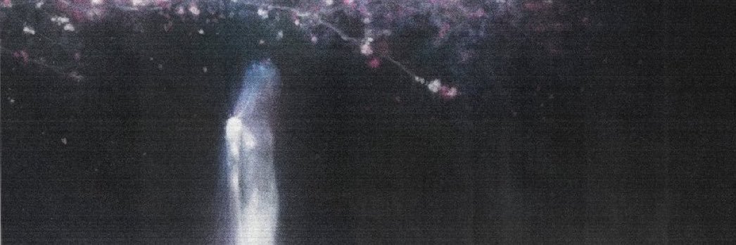 devorauniverso's profile banner image