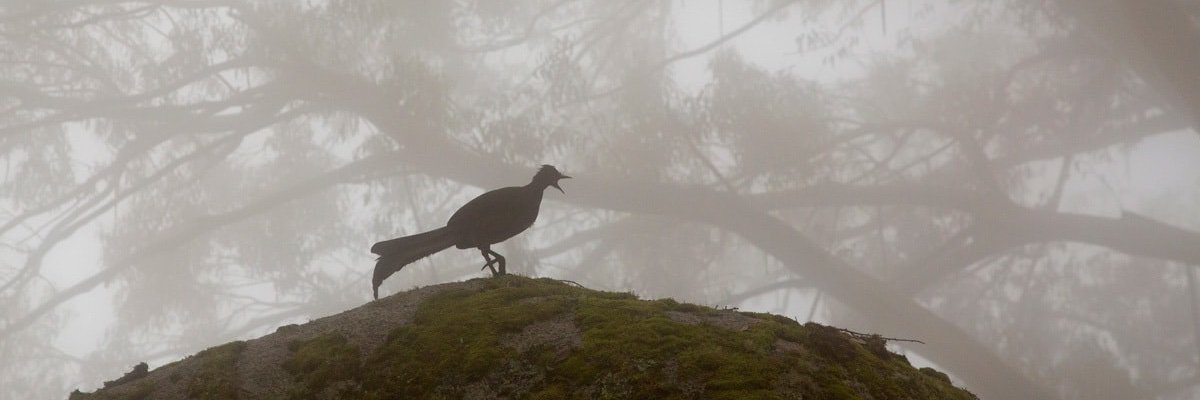 c_wetherall's profile banner image