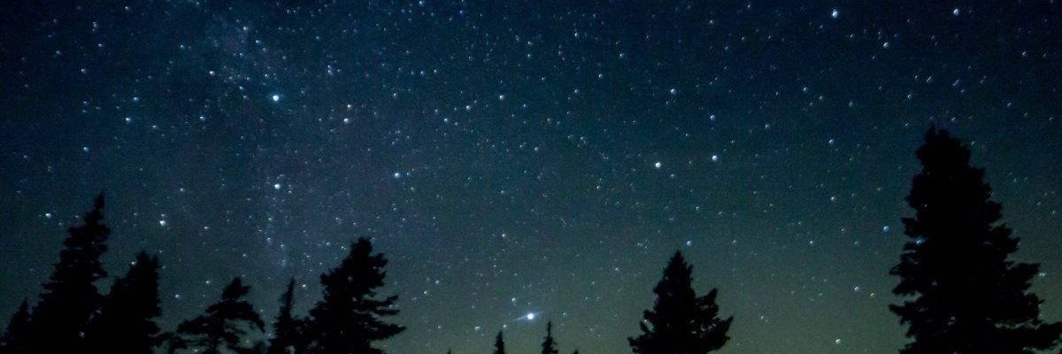 MochizCrypto's profile banner image