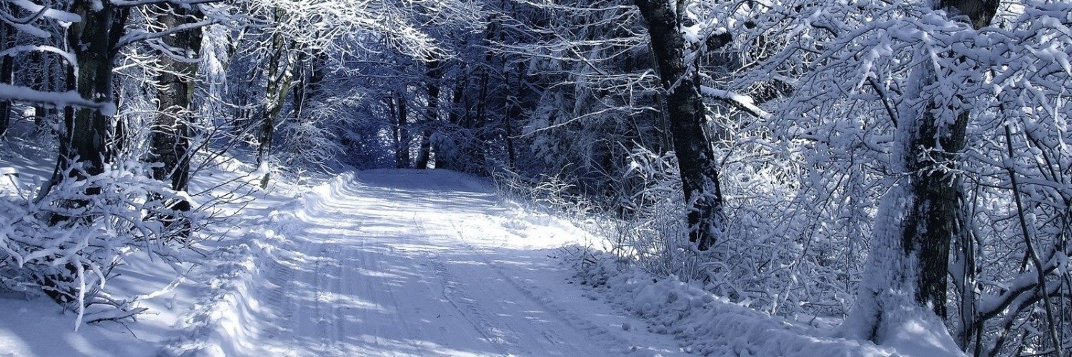 InkoCapital's profile banner image