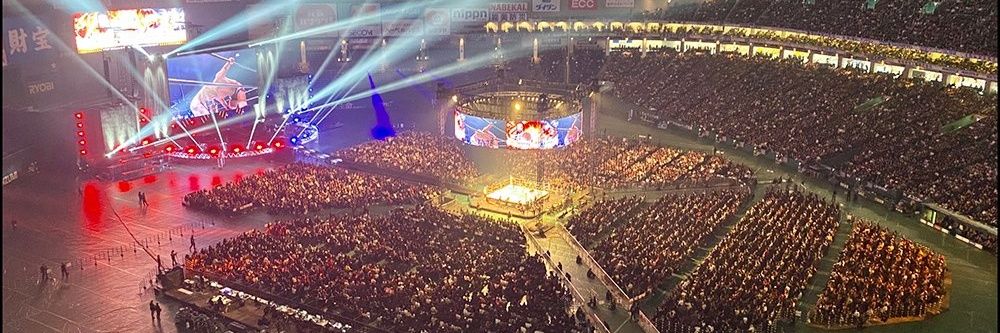 ぎんなん🦁🌟 banner