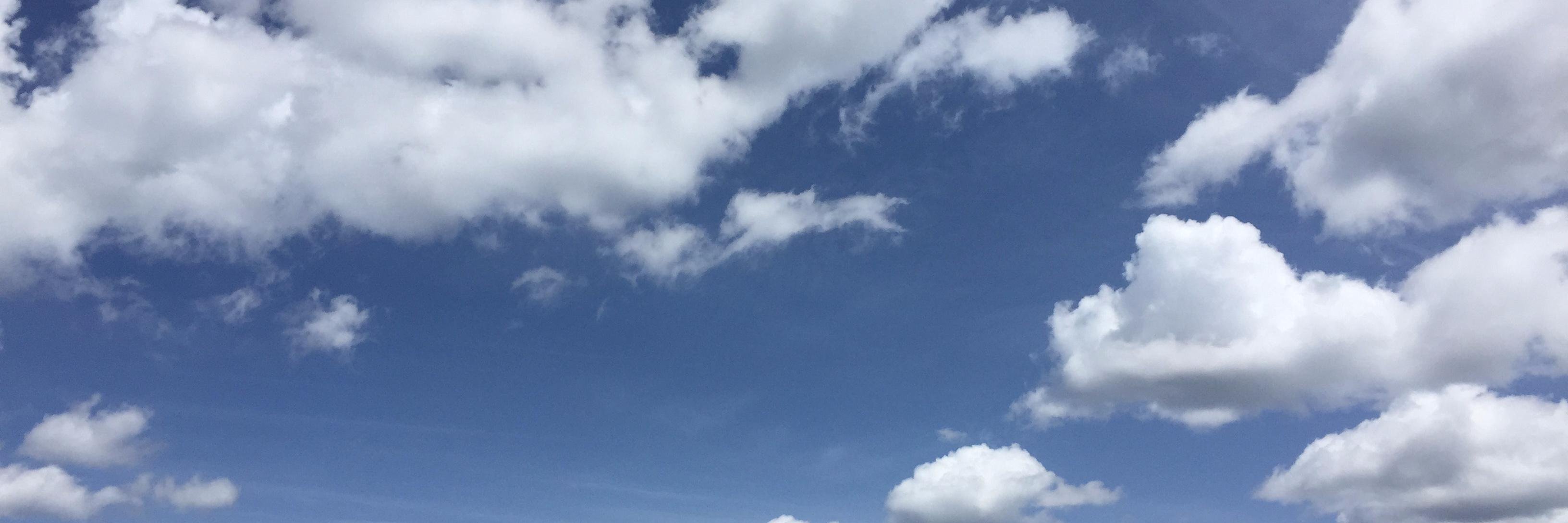 gellyanyz's profile banner image