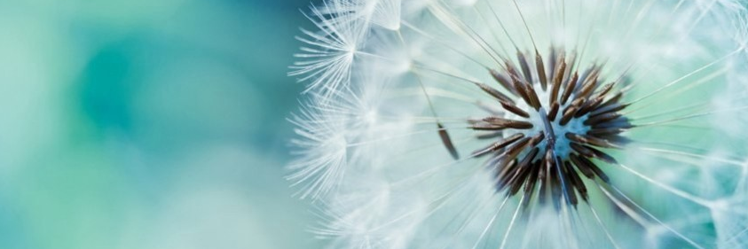 daniellecart's profile banner image