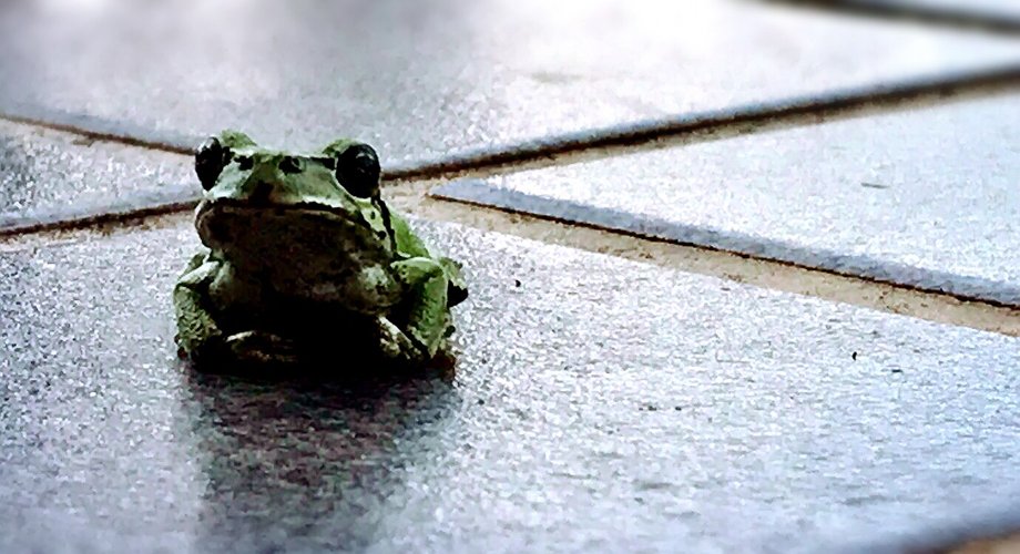 rnmn06's profile banner image