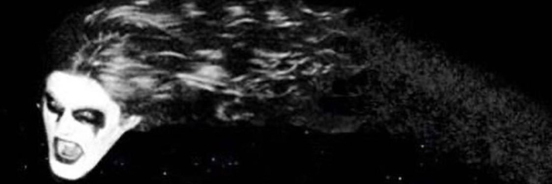 venusinfakefurs's profile banner image