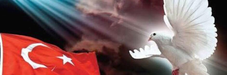 ysekmen's profile banner image