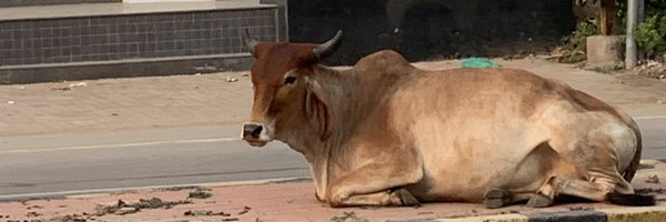 RuminateOnThis Profile Banner