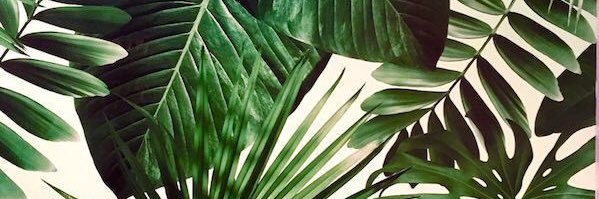 ckaruza's profile banner image