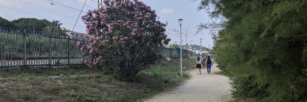 Circulaseguro1 Profile Banner