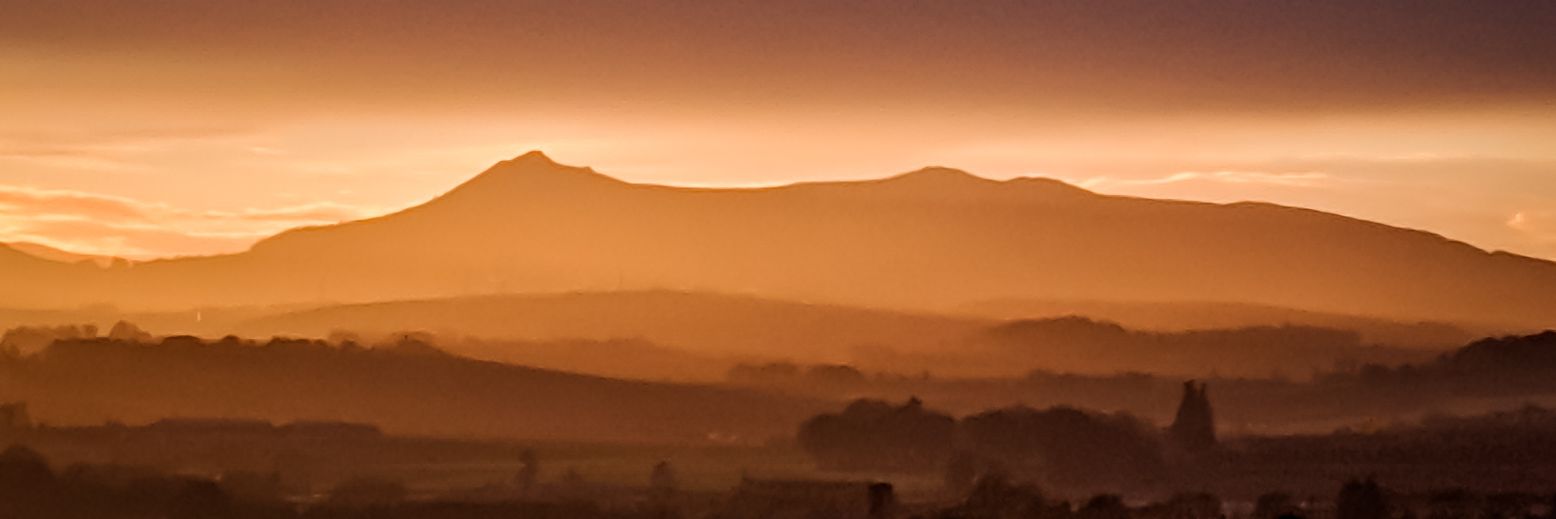 Little Brown Dog Spirits banner
