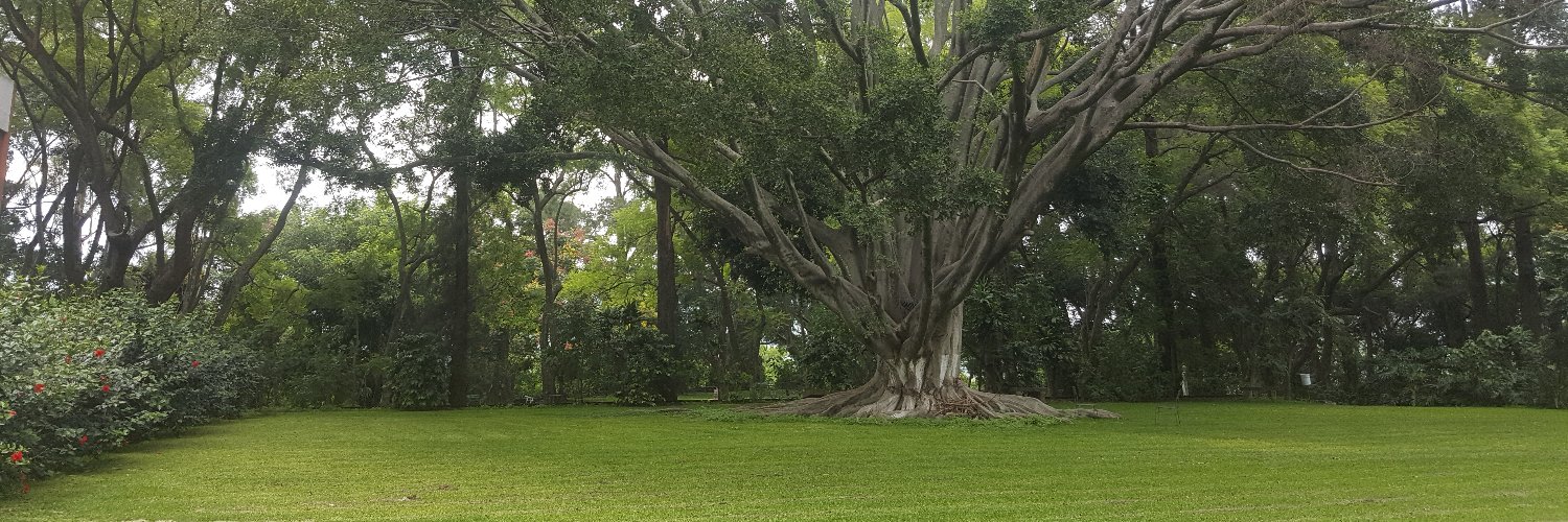 Norma Ramírez banner