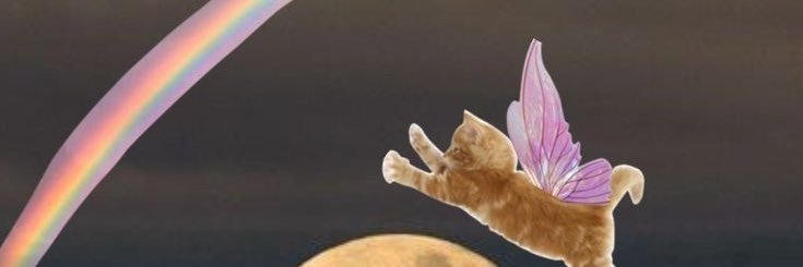 chuzo3o's profile banner image